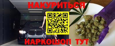 МДПВ Бийск